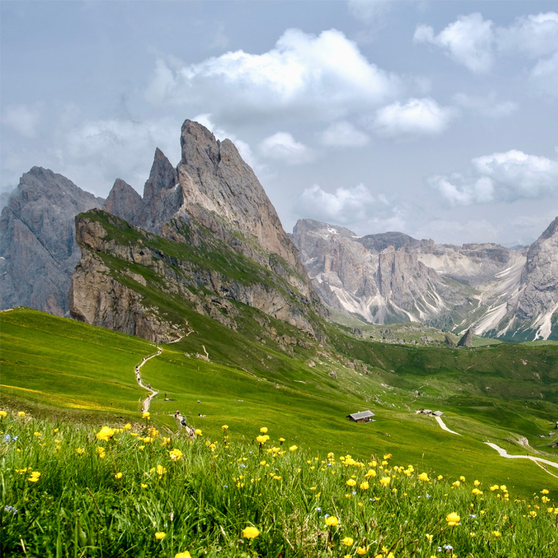 Berge Dolomiten grüne Wiese
