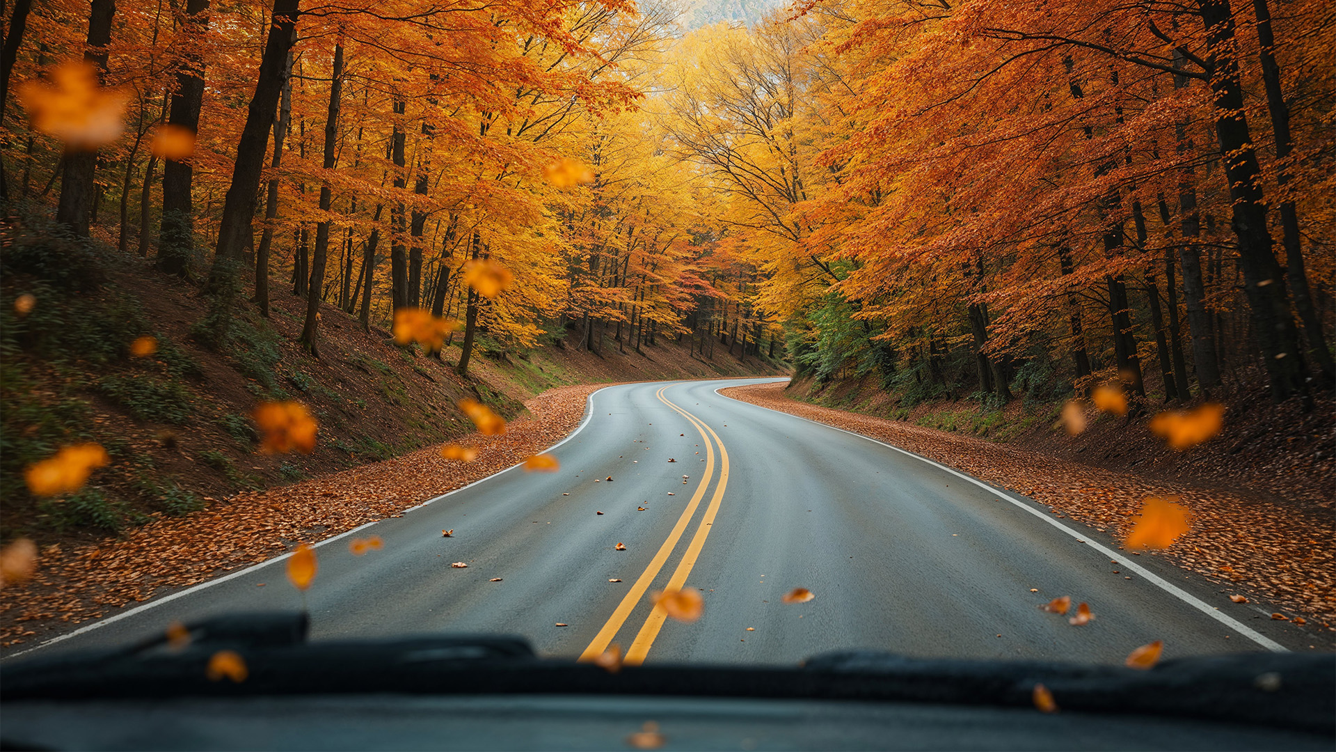 Herbst & Laub: Eine unterschätzte Gefahr für Autofahrer